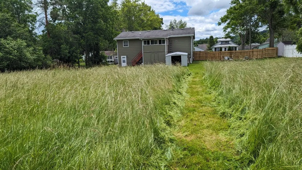Affordable yard maintenance near you in Bath, NY by Mow and Go Lawn Care