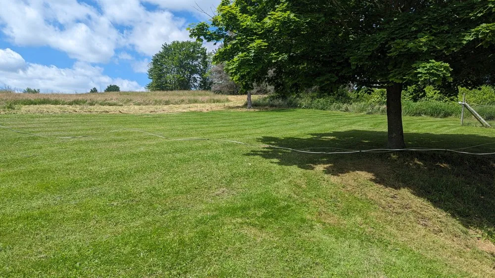 Affordable residential landscaping in Bath, NY by Mow and Go Lawn Care