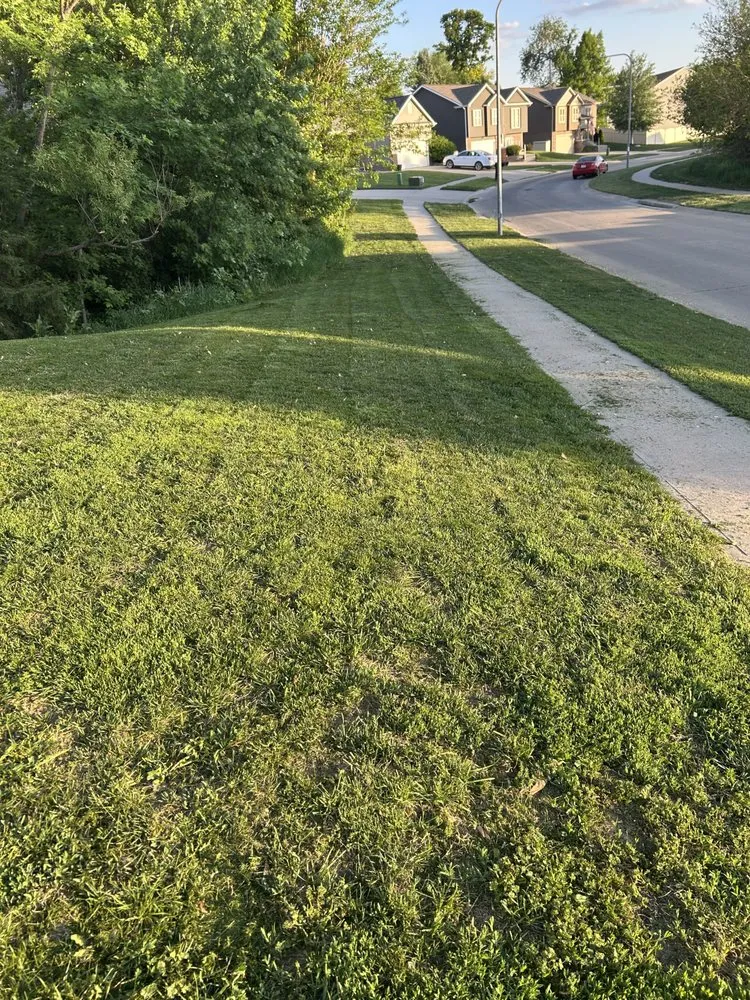 Trusted residential landscaping in Omaha, NE - Mow and Go