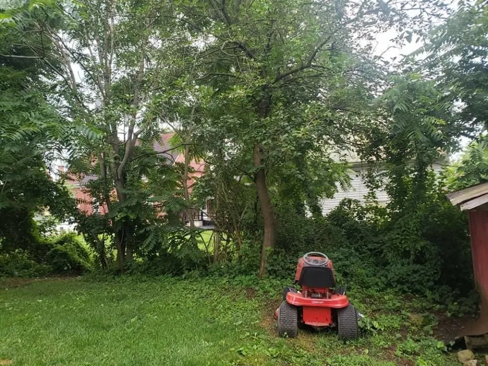Expert landscape installation for outdoor upgrades across Orrtanna, PA - Mow and Go