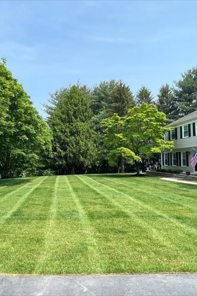 Local lawn care service experts serving Monroe Township, NJ - Mow and More