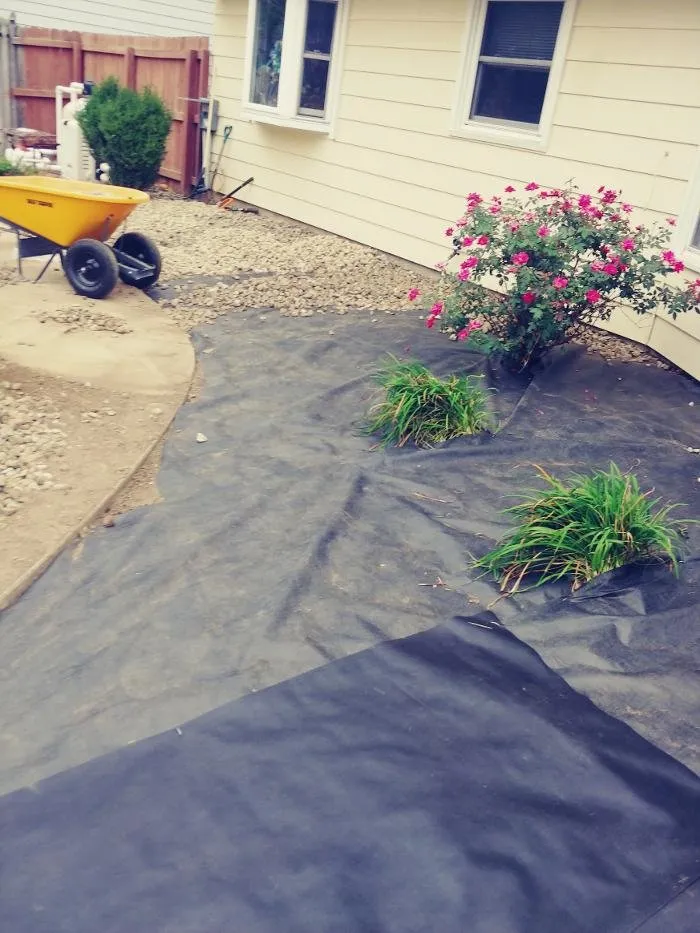 Affordable outdoor landscaping in Fort Wayne, IN by Mow Baby Mow