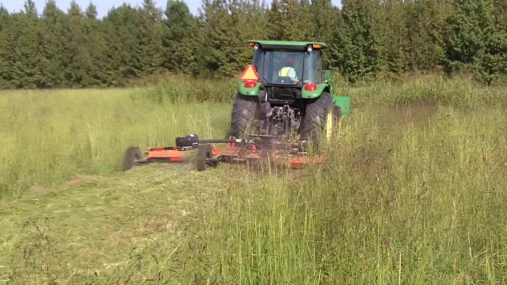 Local yard maintenance experts serving Cabot, AR - Mow Beta!