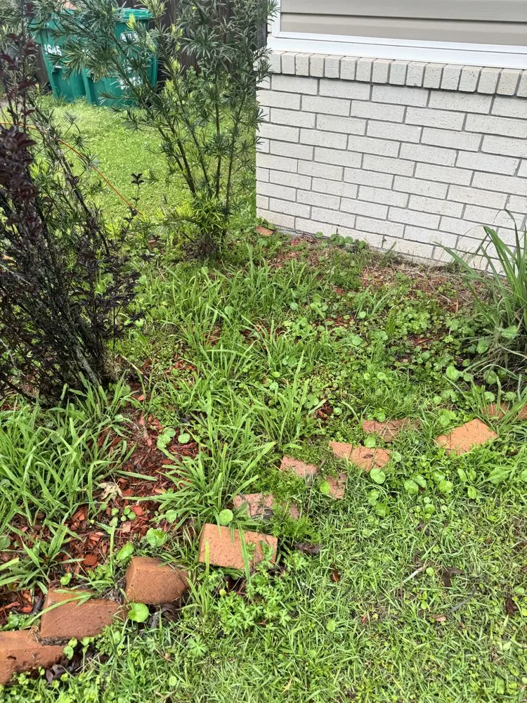 Trusted landscape installation for homes across Walker, LA - Mow Betta Grass Cuts