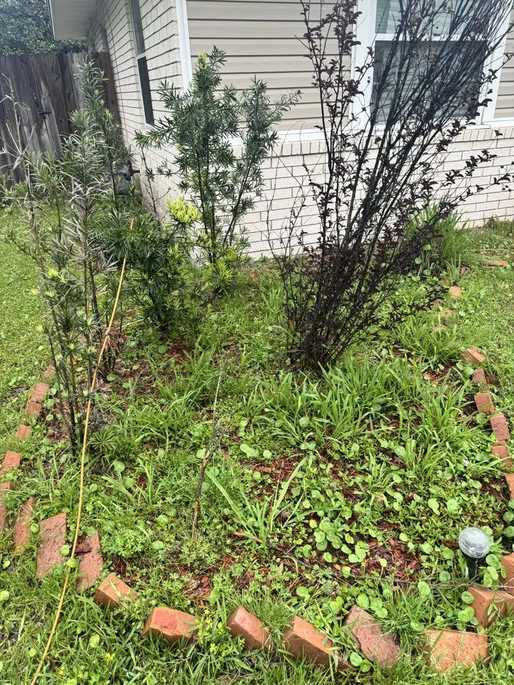 Reliable yard cleanup service in Walker, LA by Mow Betta Grass Cuts