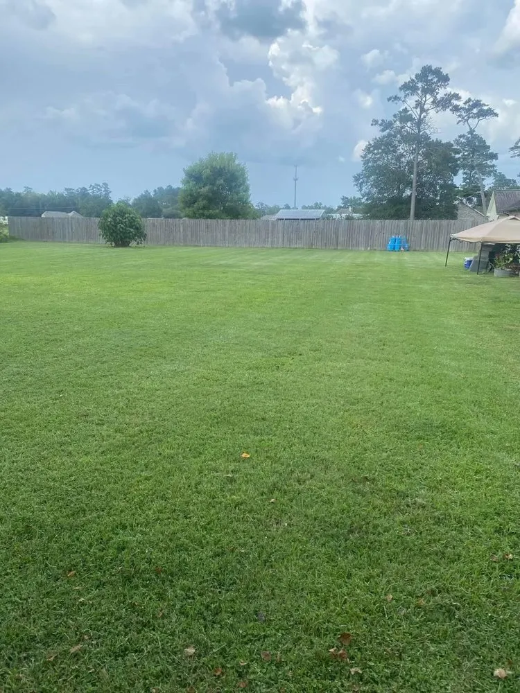 Top-rated residential landscaping with custom design in Walker, LA by Mow Betta Grass Cuts