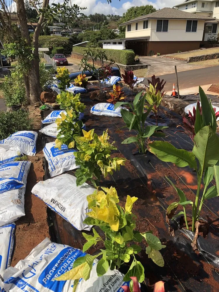 Local outdoor landscaping in Mililani, HI - Mow Betta landscape