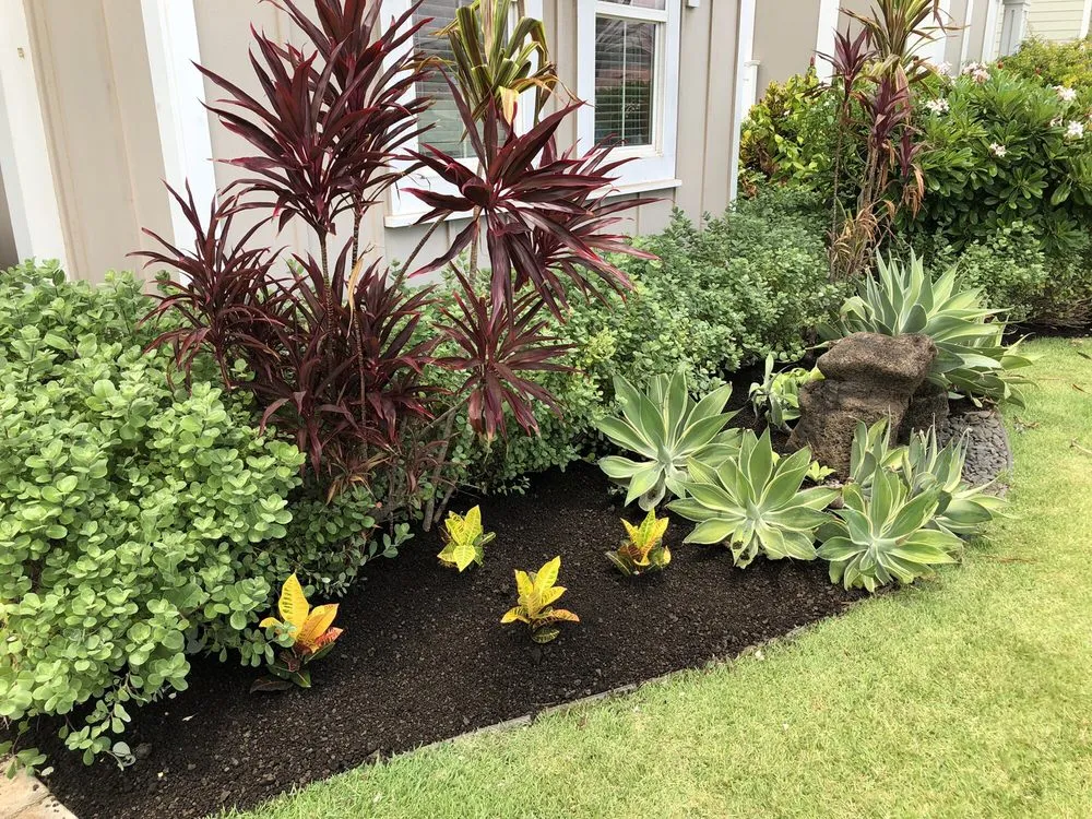 Custom yard maintenance in Mililani, HI by Mow Betta landscape