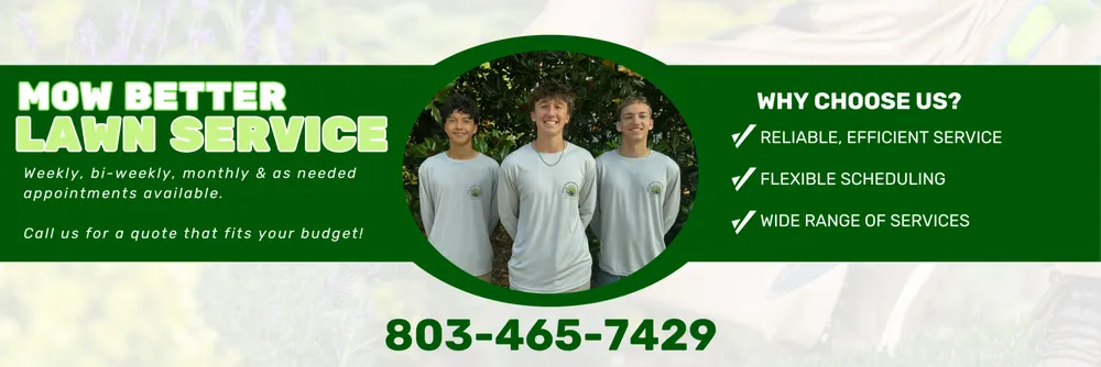 Expert outdoor landscaping experts serving Blythewood, SC - Mow Better