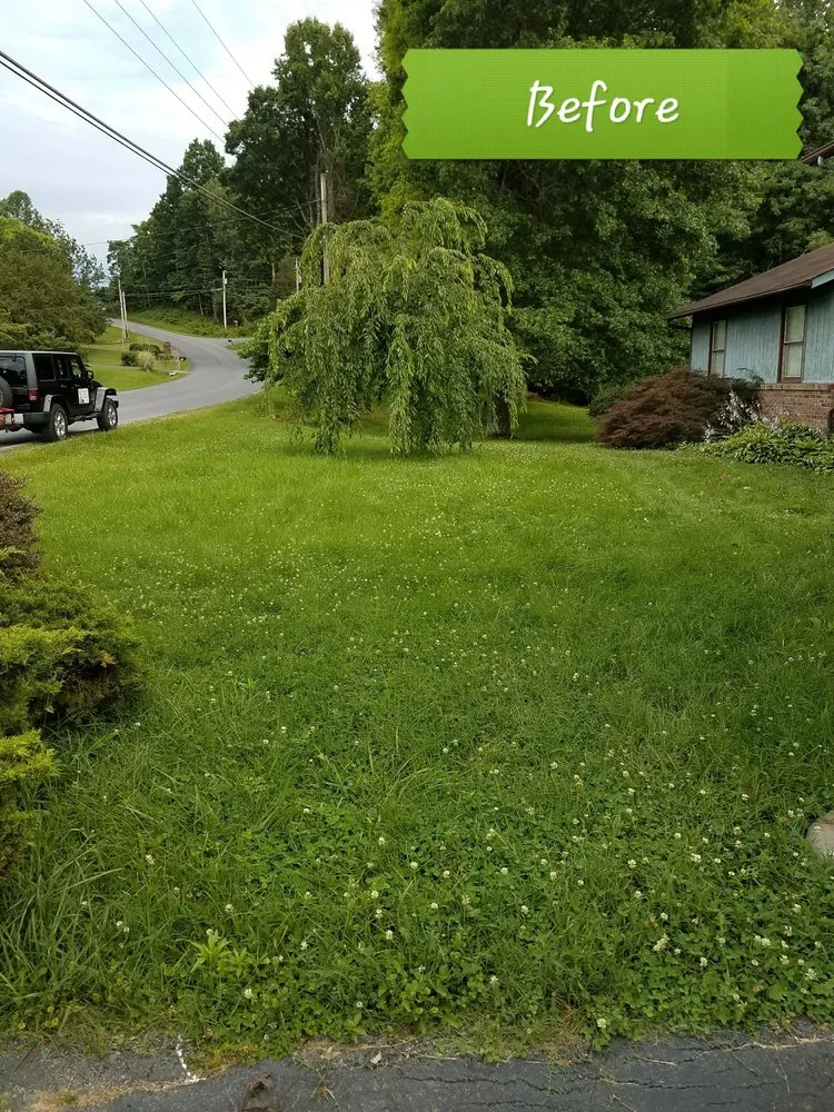 Reliable lawn care service in Johnson City, TN - Mow Better