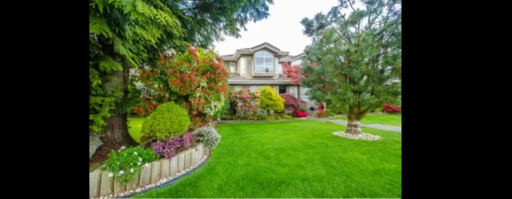 Trusted yard cleanup service in Crosby, TX by Mow Better Lawn Care