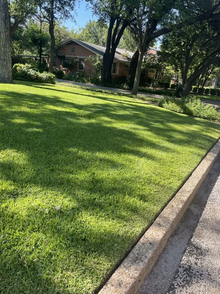 Custom yard maintenance for residential properties in Abilene, TX by Mow Better Lawn Co
