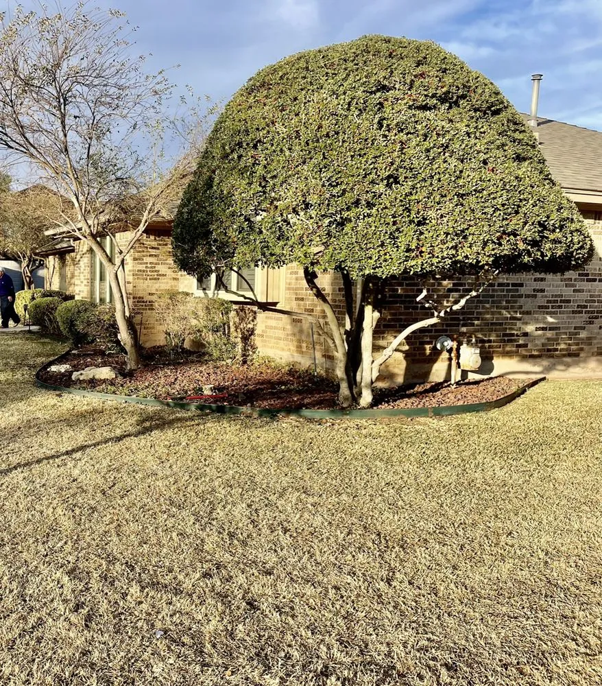 Professional landscape design for homes across Abilene, TX - Mow Better Lawn Co
