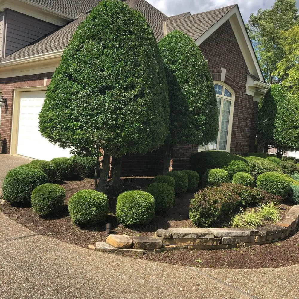 Expert residential landscaping for outdoor upgrades in Louisville, KY by Mow Better Lawnscapes