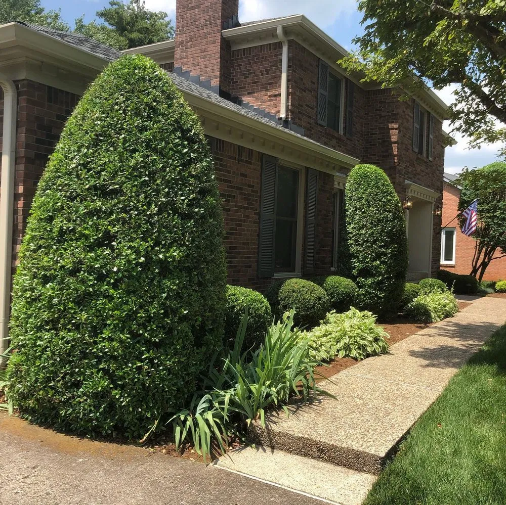 Expert lawn care service for outdoor upgrades across Louisville, KY - Mow Better Lawnscapes