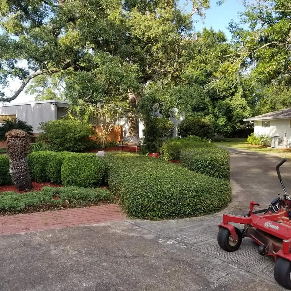 Professional yard cleanup service for residential properties across Ocean Springs, MS - Mow Better