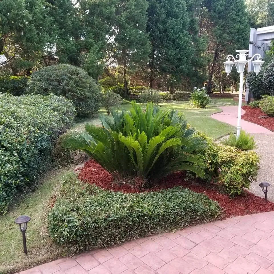 Top-rated lawn mowing service in Ocean Springs, MS by Mow Better