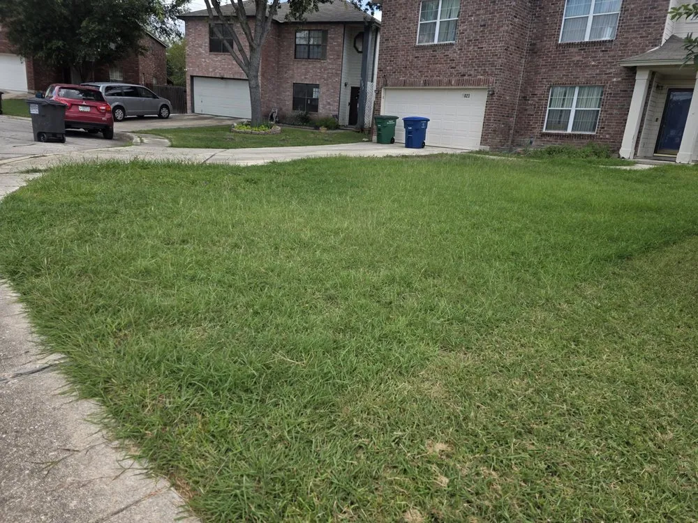 Local landscape design experts serving San Antonio, TX - Mow Better With Mike