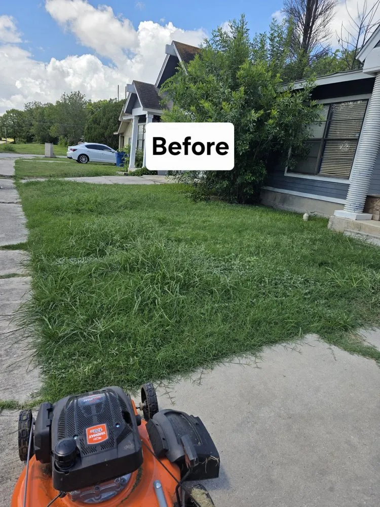 Trusted yard cleanup service for outdoor upgrades in San Antonio, TX by Mow Better With Mike