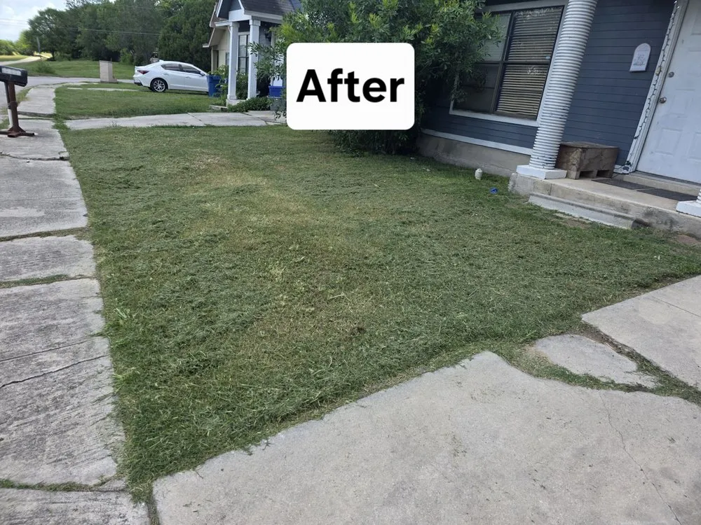 Professional yard cleanup service for beautiful yards in San Antonio, TX by Mow Better With Mike