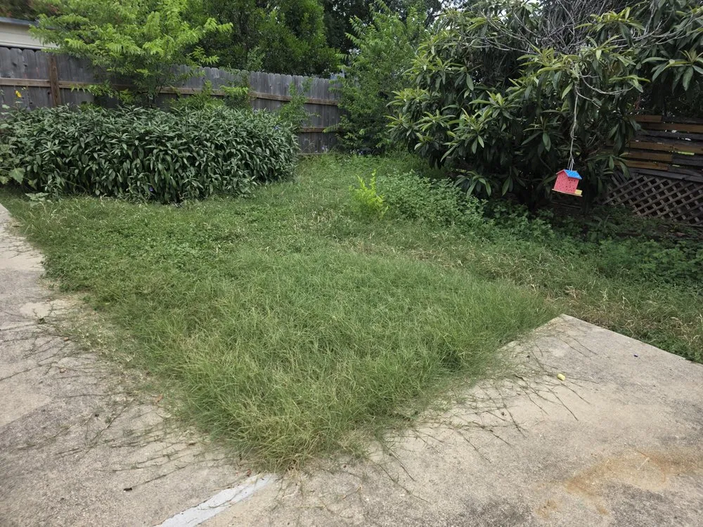 Reliable outdoor landscaping experts serving San Antonio, TX - Mow Better With Mike