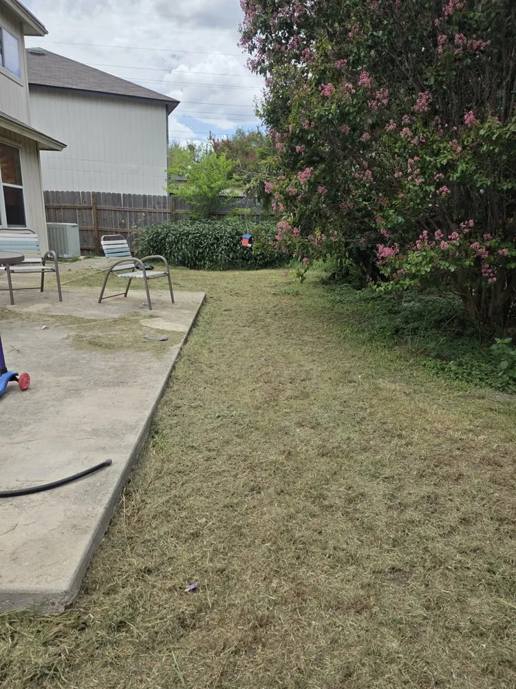 Reliable landscape design for homes across San Antonio, TX - Mow Better With Mike