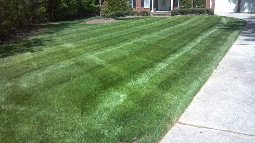 Custom landscape design for residential properties across Garner, NC - Mow Blow & Go