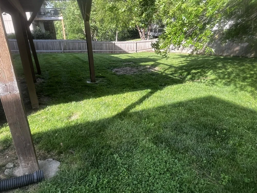 Affordable garden landscaping experts serving Kansas City, MO - Mow Blow and Go