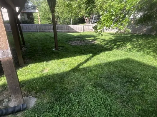 Mow Blow and Go Logo