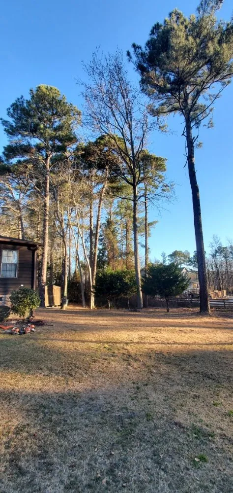 Reliable landscape design for beautiful yards across Hope Mills, NC - Mow, Blow, and Go Landscaping and Horticultural Services