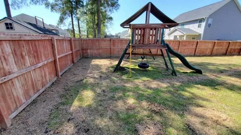 Local yard cleanup service in Hope Mills, NC - Mow, Blow, and Go Landscaping and Horticultural Services