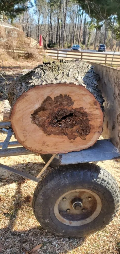 Affordable landscape design in Hope Mills, NC by Mow, Blow, and Go Landscaping and Horticultural Services