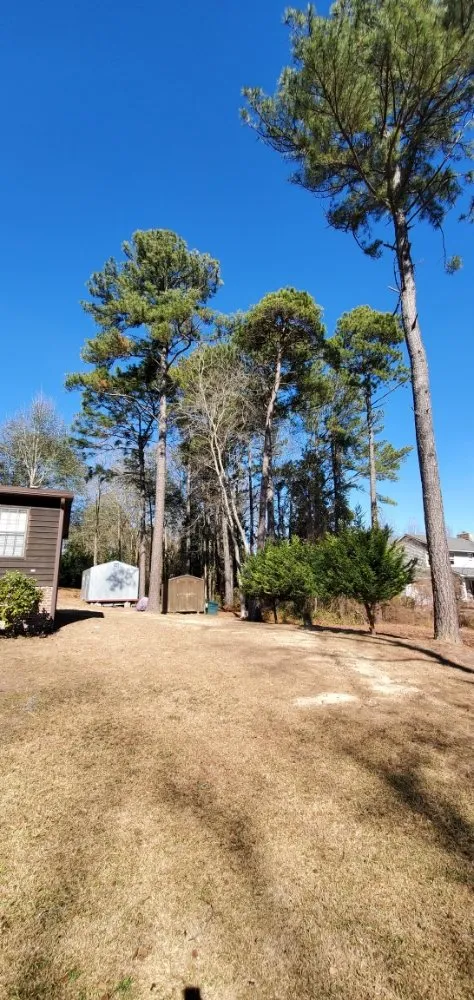 Reliable lawn mowing service in Hope Mills, NC by Mow, Blow, and Go Landscaping and Horticultural Services