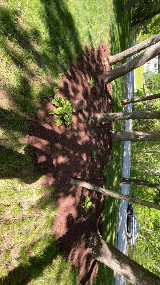 Trusted yard maintenance experts serving Lake Saint Louis, MO - Mow Bros Lawncare