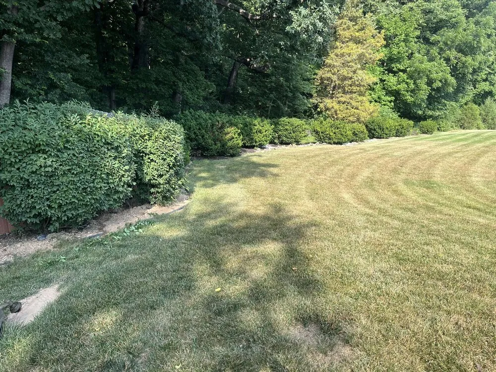 Trusted residential landscaping in Lake Saint Louis, MO - Mow Bros Lawncare