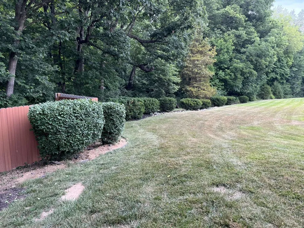 Top-rated landscape installation experts serving Lake Saint Louis, MO - Mow Bros Lawncare