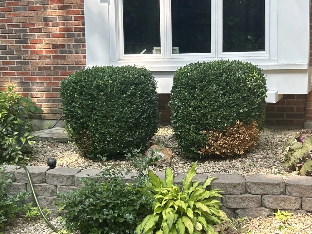 Reliable landscaping services with custom design in Lake Saint Louis, MO by Mow Bros Lawncare