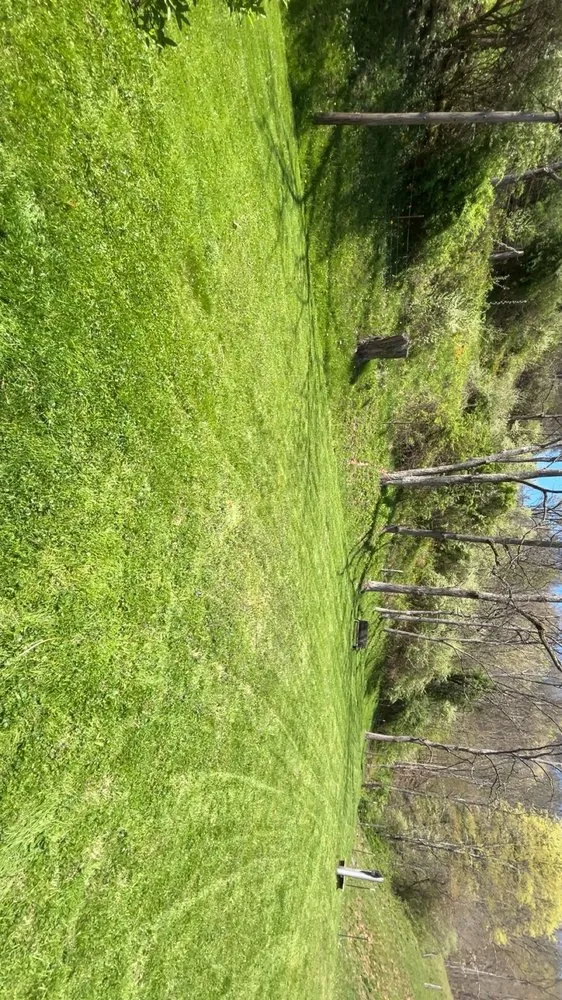 Top-rated landscaping services experts serving Mount Clare, WV - Mow bros