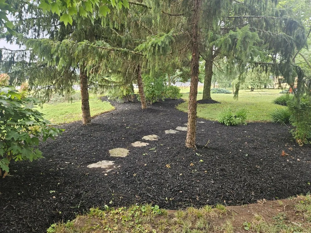 Affordable yard cleanup service experts serving Seaman, OH - Mow Bros Mowing & Landscaping