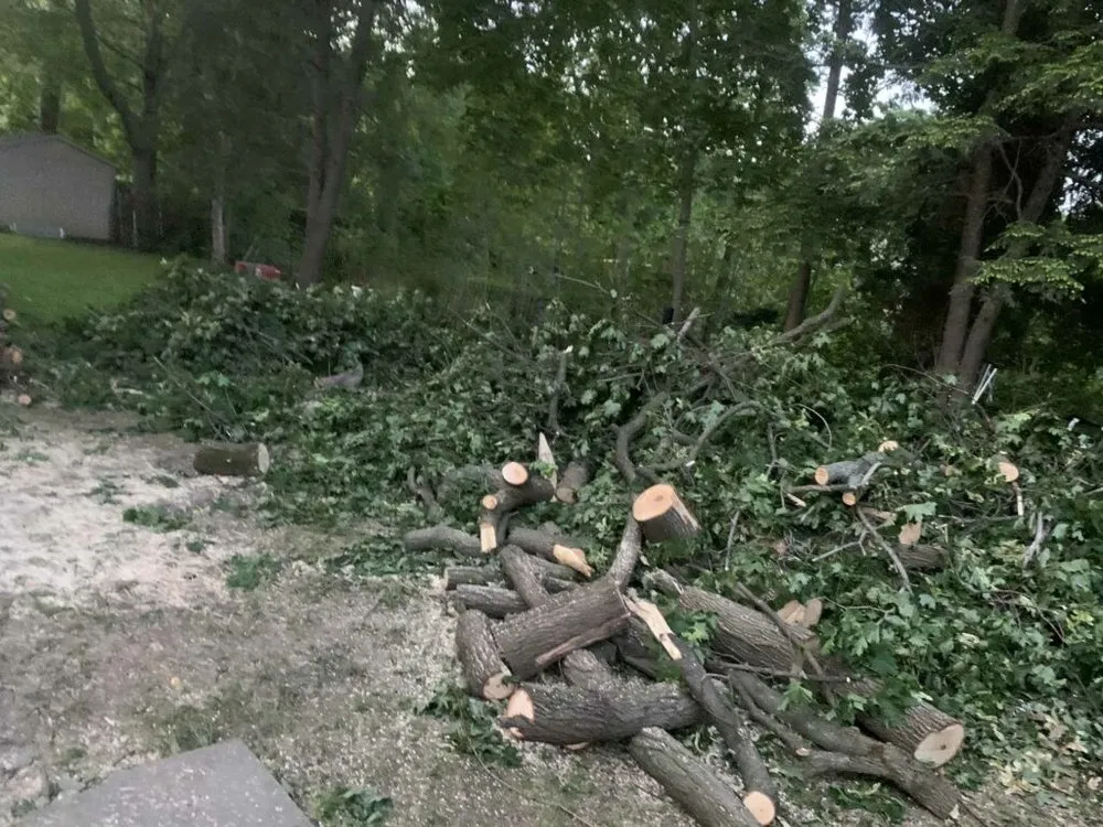 Expert lawn mowing service experts serving Syracuse, NY - Mow Bros