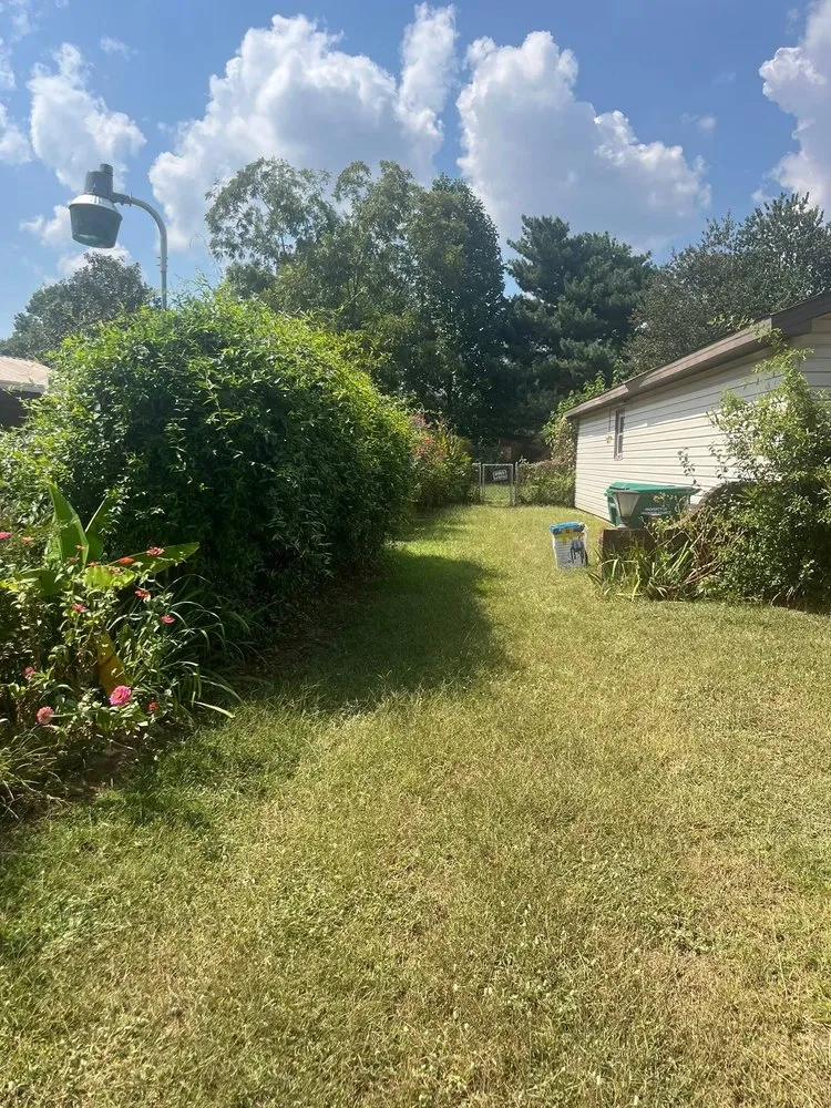 Reliable landscape design experts serving Warner Robins, GA - Mow Care Landscaping