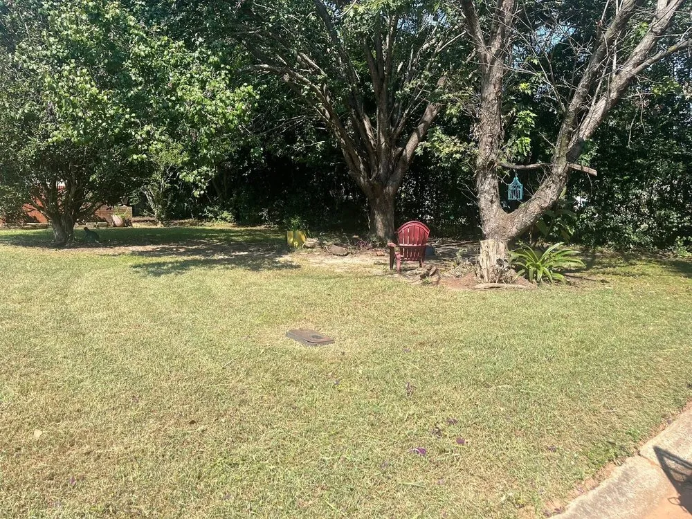 Top-rated lawn mowing service for year-round maintenance across Warner Robins, GA - Mow Care Landscaping