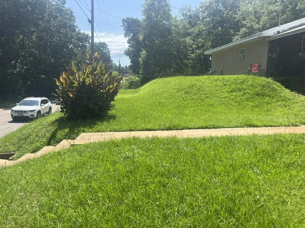 Professional outdoor landscaping with custom design in Warner Robins, GA by Mow Care Landscaping