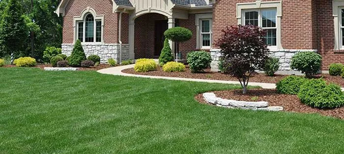 Reliable landscaping services in Carrollton, TX - Mow Carrollton