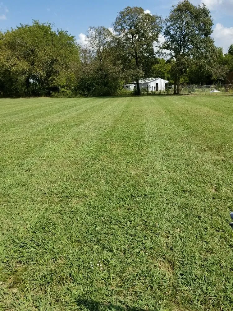 Affordable landscape design in Mounds, OK - Mow-Co