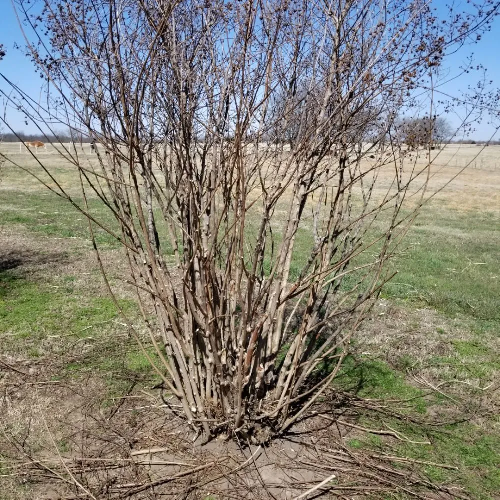 Expert garden landscaping experts serving Mounds, OK - Mow-Co