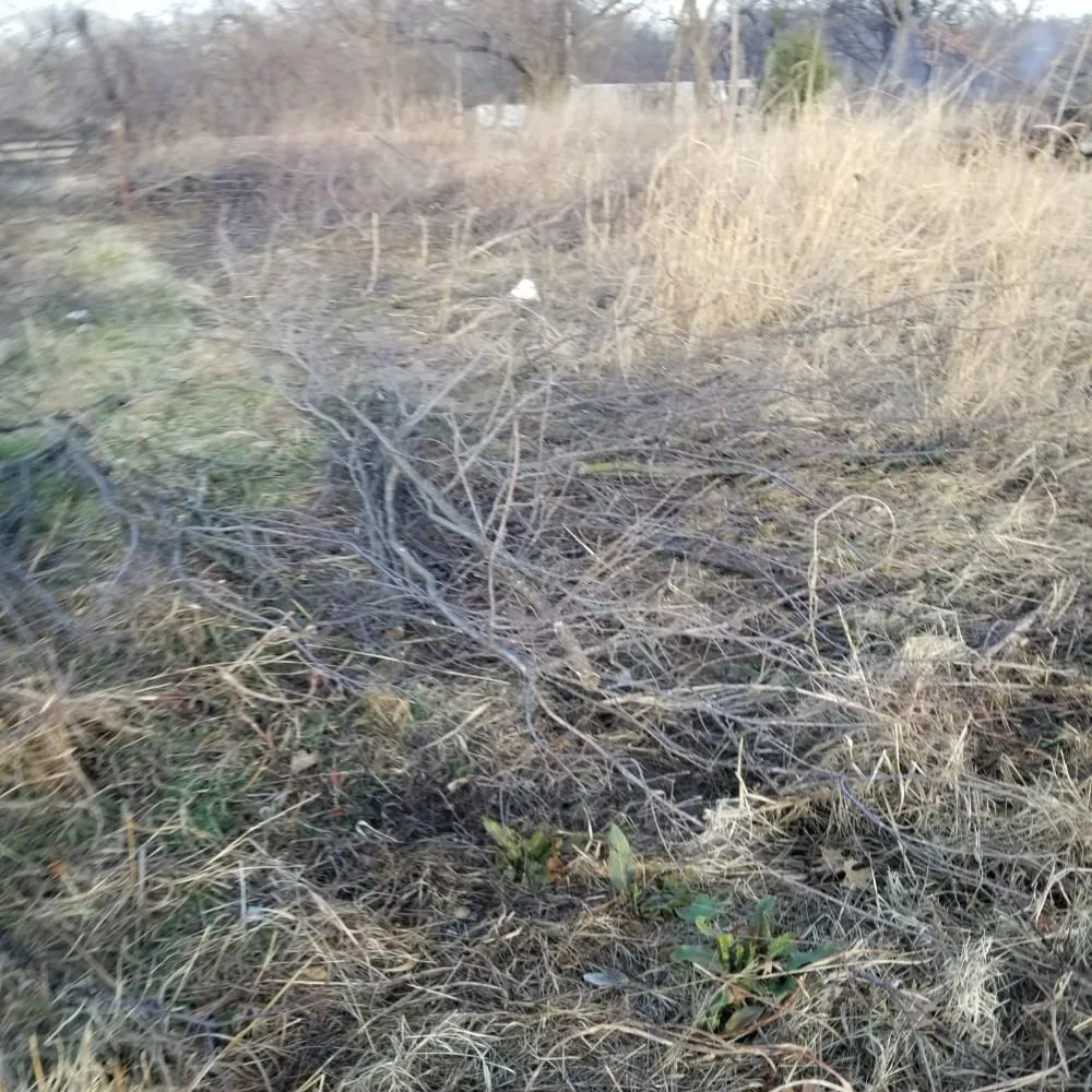 Reliable residential landscaping in Mounds, OK by Mow-Co
