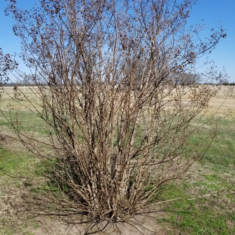 Trusted residential landscaping experts serving Mounds, OK - Mow-Co