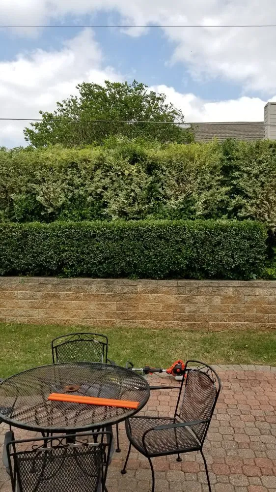 Custom lawn care service in Mounds, OK - Mow-Co
