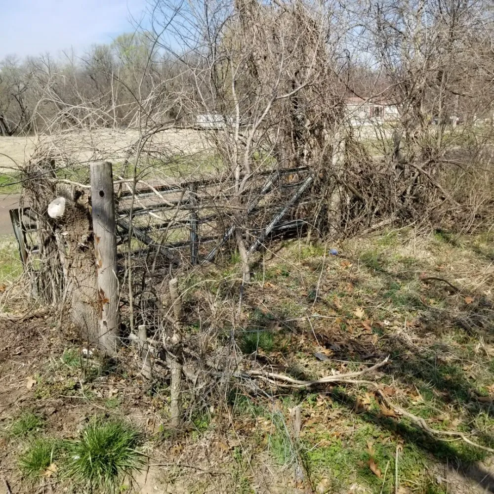 Trusted garden landscaping experts serving Mounds, OK - Mow-Co